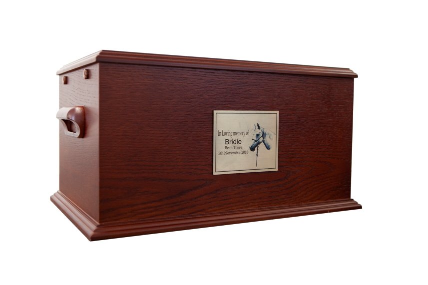 Horse ashes box sale